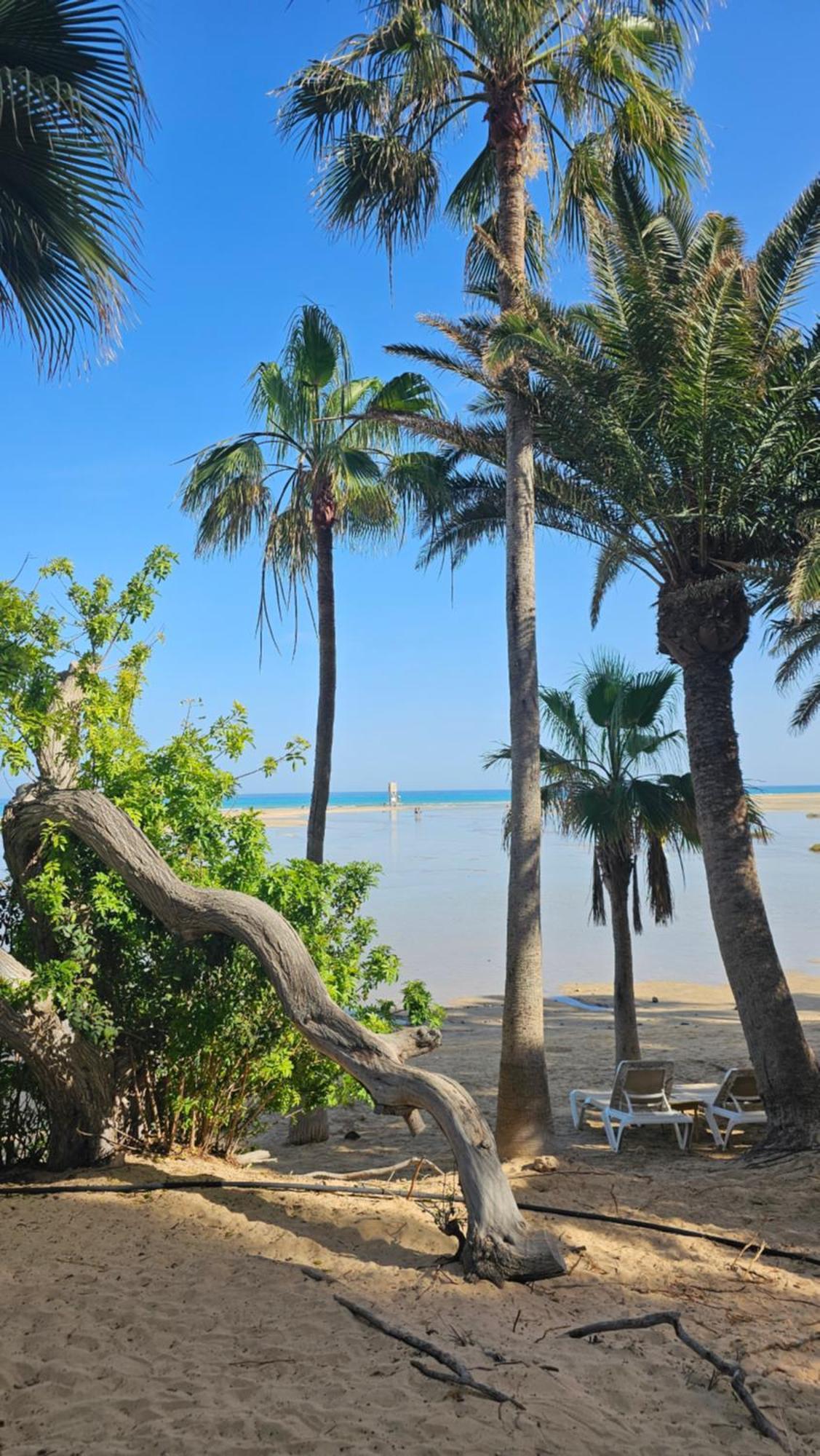 Villa Sotavento Modern New Apartment In Park Natural Adults Only Playa Jandia 외부 사진